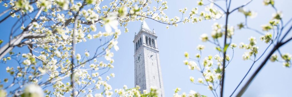 Cal Cybersecurity Research Fellowship 2023